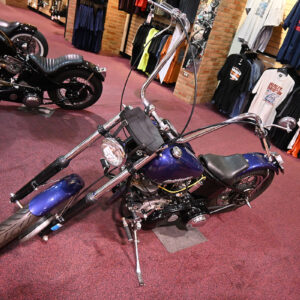 1956-Harley-Davidson-FLH-Blue3