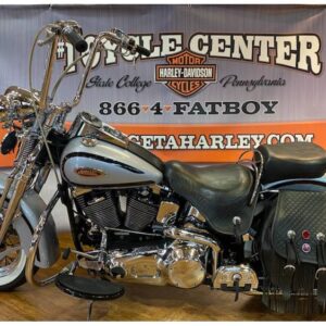 1999 Harley-Davidson® FLSTS Heritage Springer