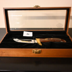 Harley-Davidson Buck Custom